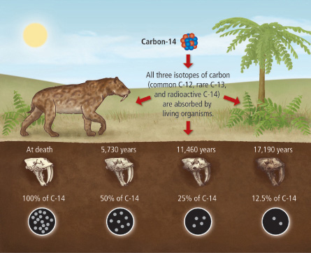 carbon-14
